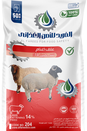 %علف اغنام تسمين 14