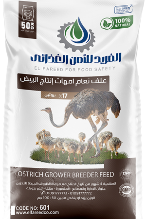 %علف نعام امهات إنتاج البيض 17