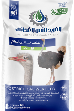 %علف تسمين نعام 19
